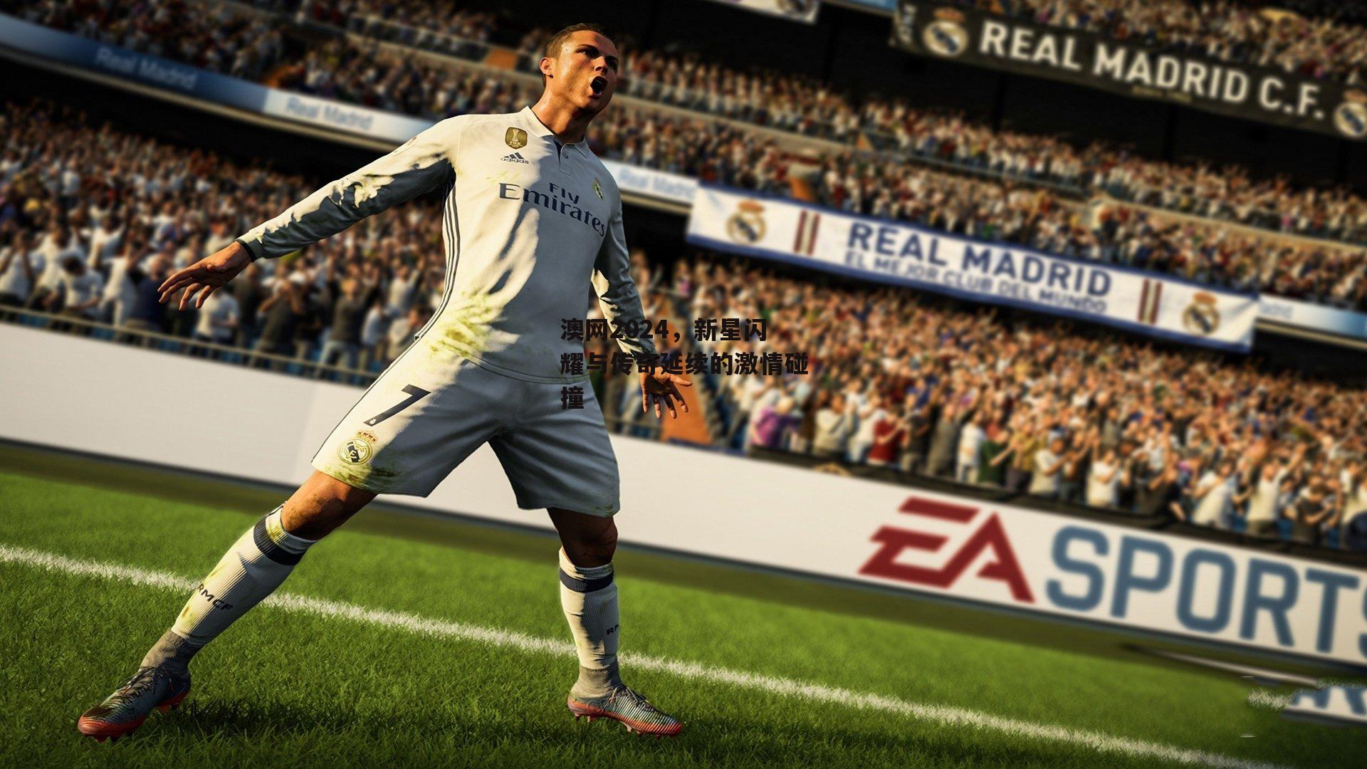 澳网2024,新星闪耀与传奇延续的激情碰撞