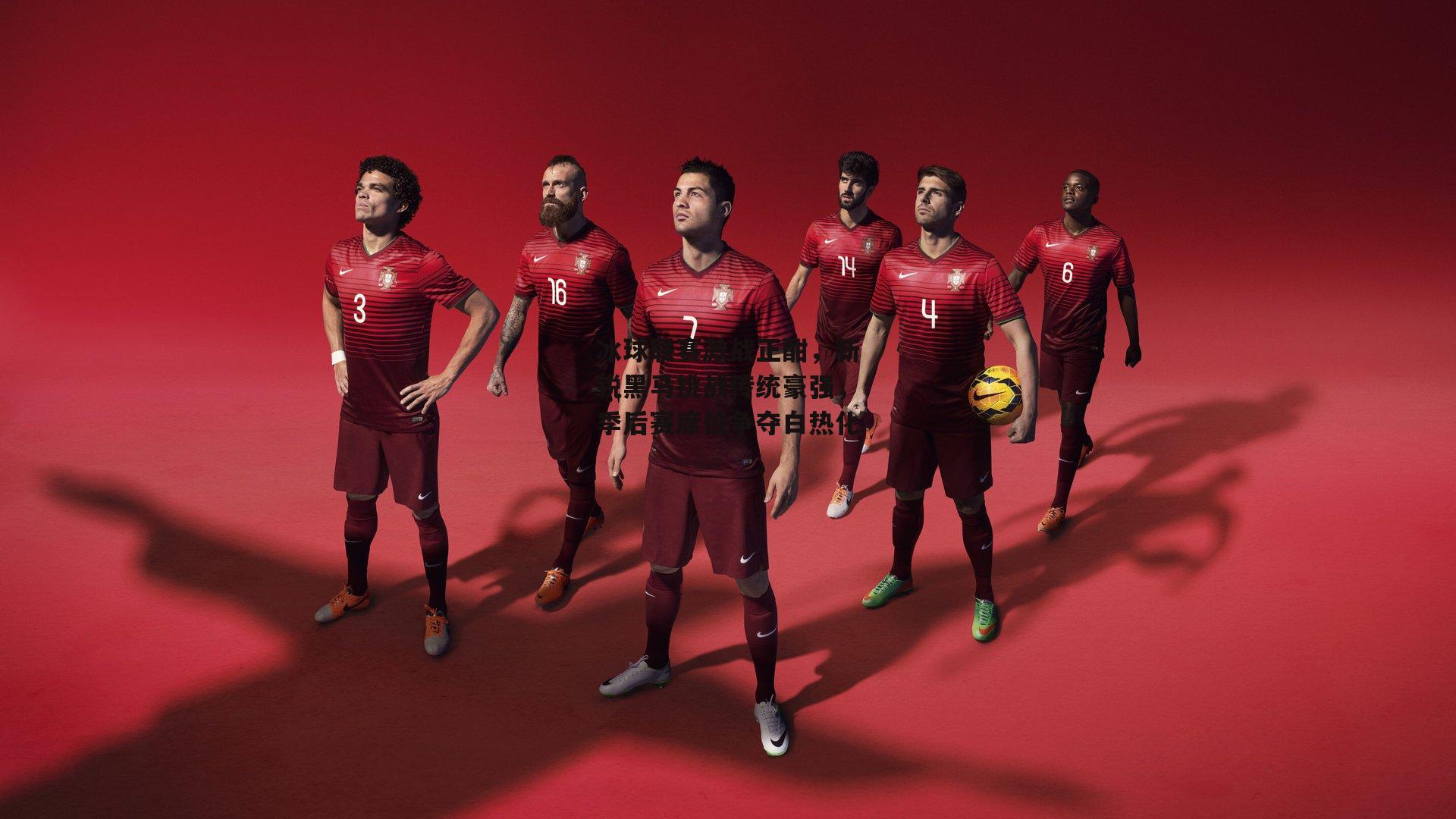 冰球联赛激战正酣,新锐黑马挑战传统豪强,季后赛席位争夺白热化